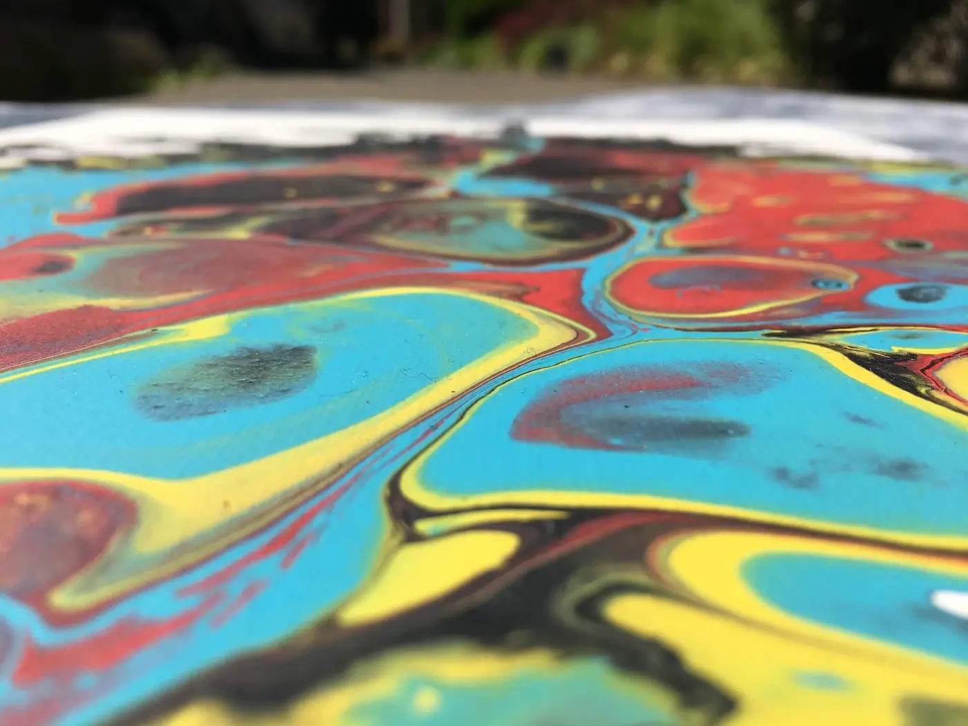Color Bomb, photo 6 of 7