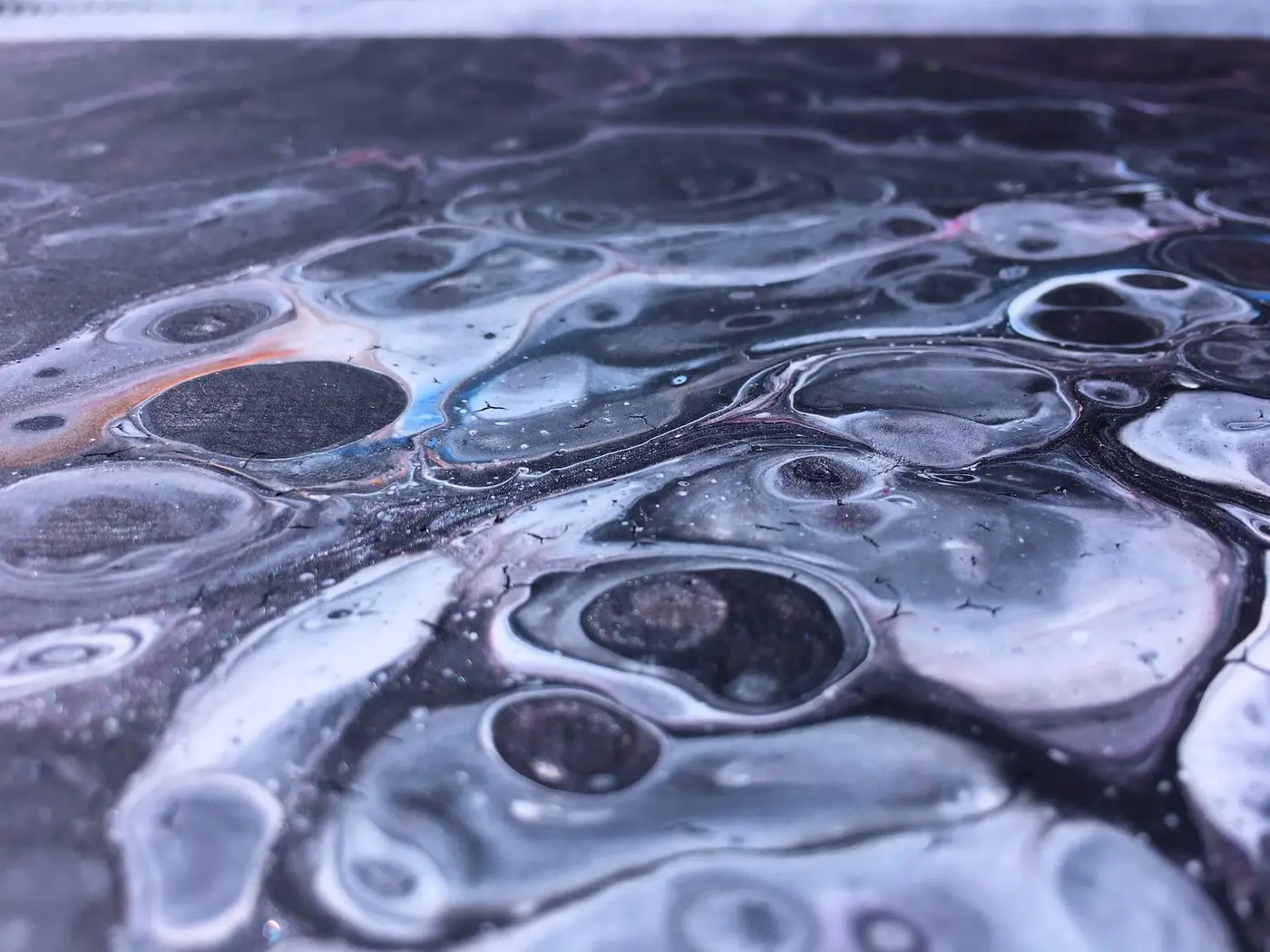 Cell Landscape, photo 6 of 13