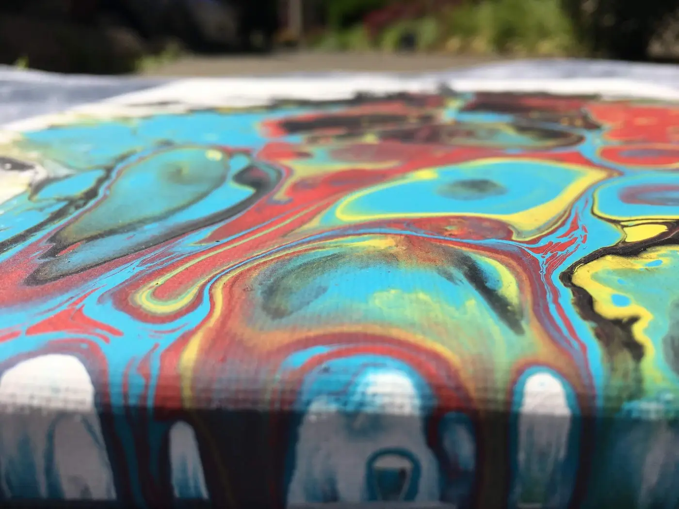 Color Bomb, photo 7 of 7