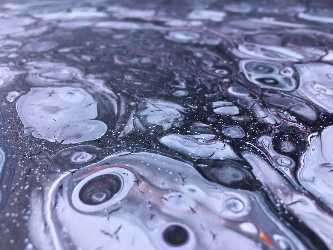 Cell Landscape, photo 12 of 13